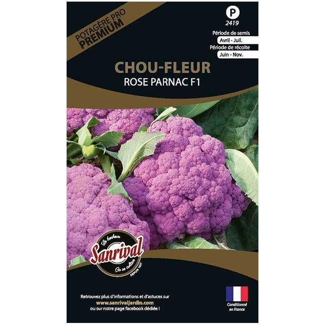 CHOU FLEUR ROSE PARNAC