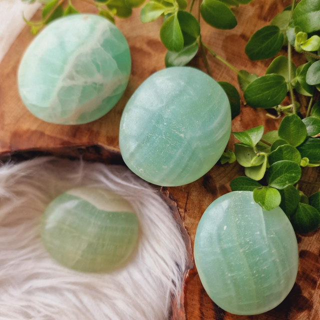 Caribbean Calcite Palm