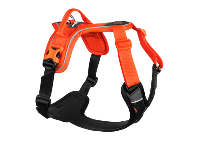 Geschirr - Ramble harness