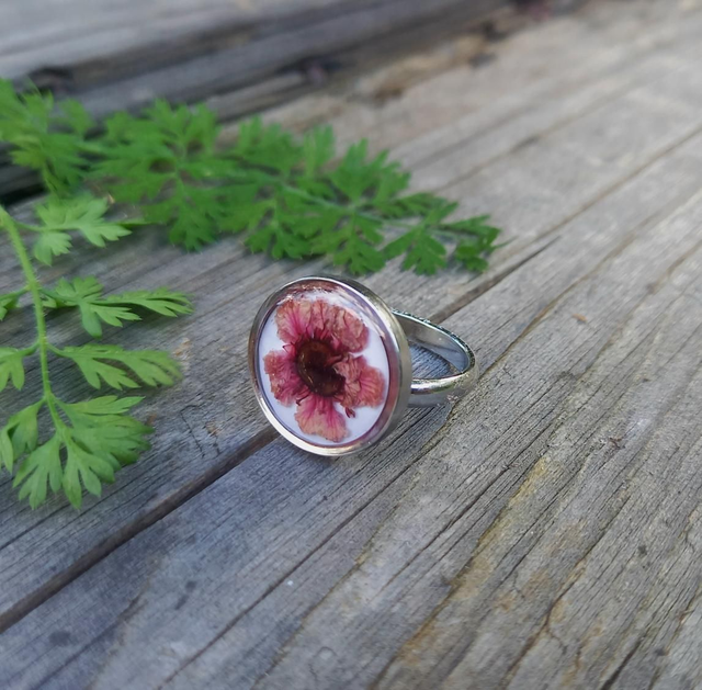 Bague argentée ◦ Leptospermum