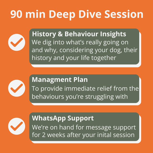 90 MINUTE DEEP DIVE SESSION