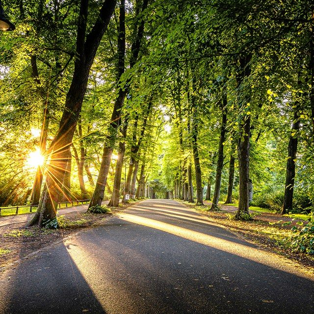 Promenade im Gegenlicht