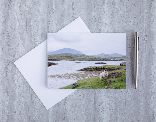 I&#039;m Watching Ewe! Blank Card