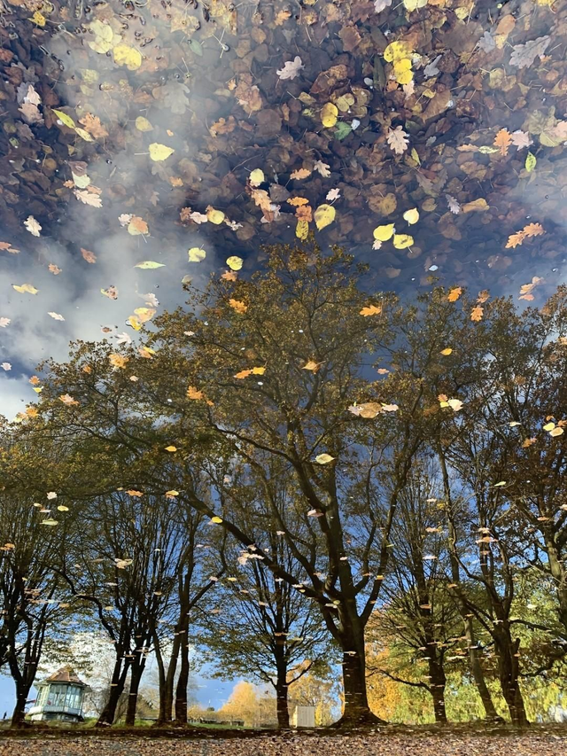 Horniman Reflection - Photo Print 