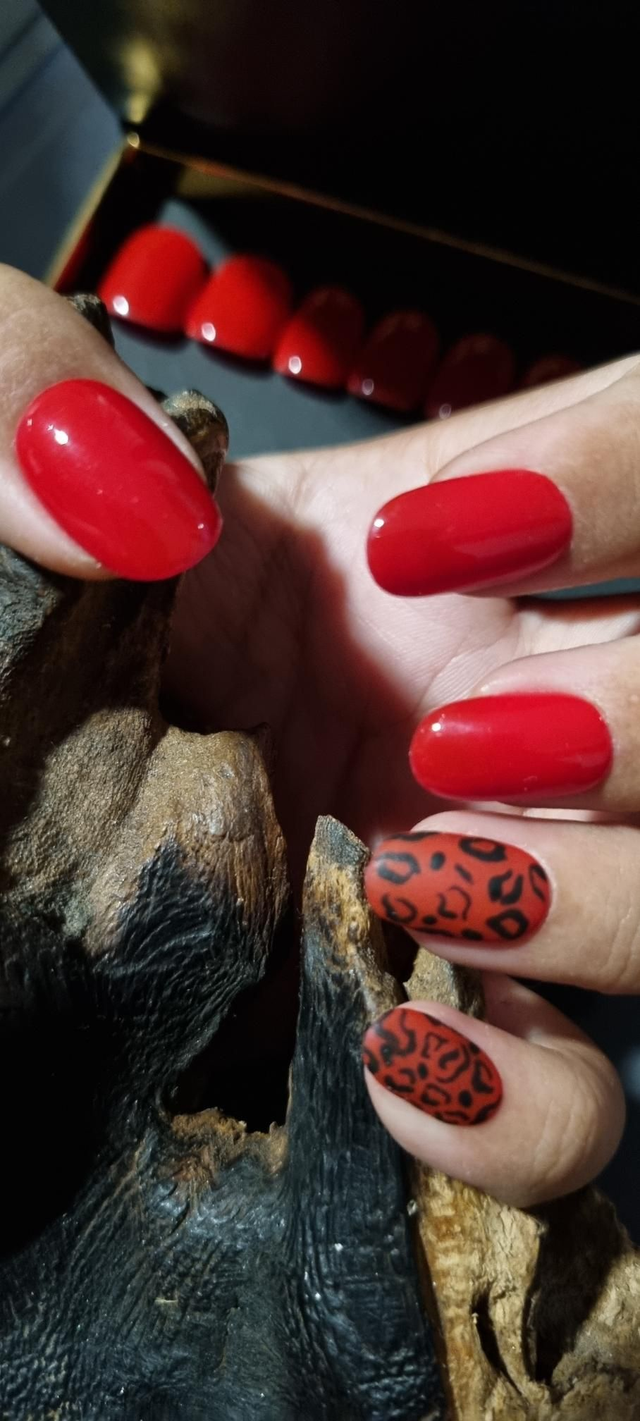 Classic réd léopard little oval S