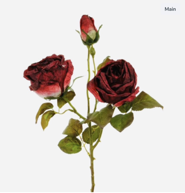 Dried Touch Valera Rose Stem