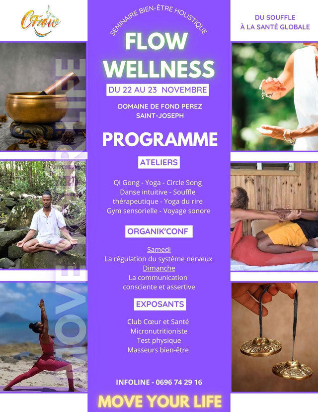 Wellness flow - 2 day