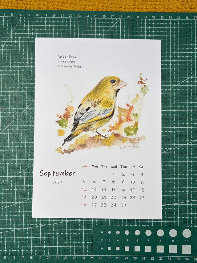 Calendar 2027 A year of Garden Birds_white paper