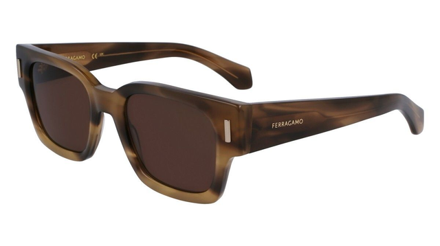 Eyewear Man Salvatore Ferragamo  SF2010S 319
