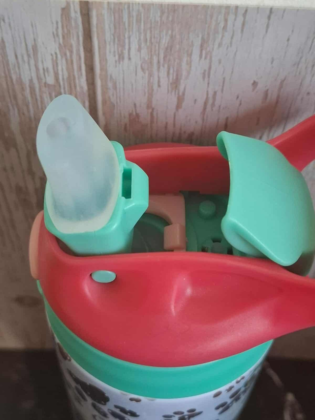 Gourde 350 ml berger australien de Noël personnalisable