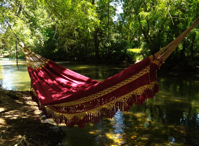 Trio Bucho De Boi Paraiba
