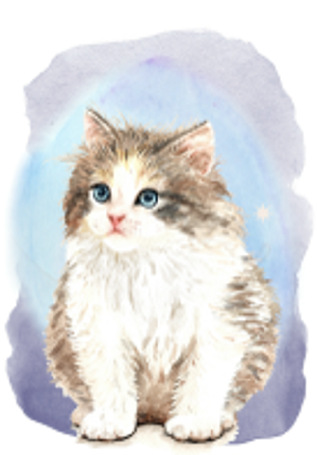 Hand made Cards - Cats