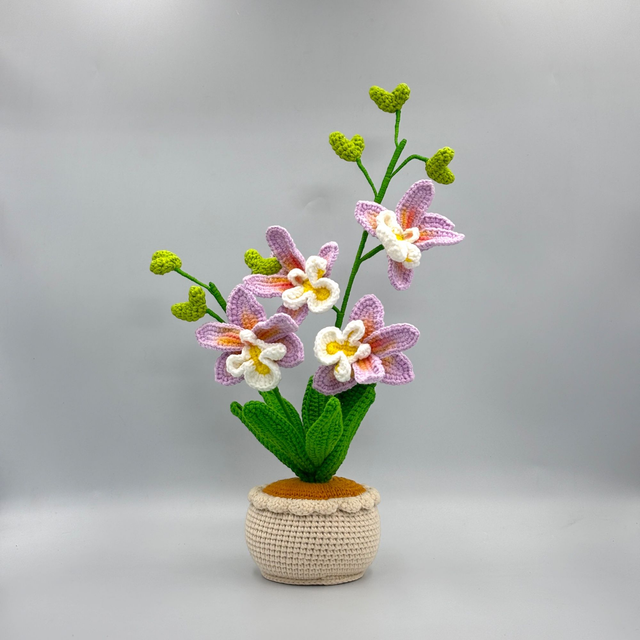 Pot d’orchidées Dendrobium (4 fleurs)
