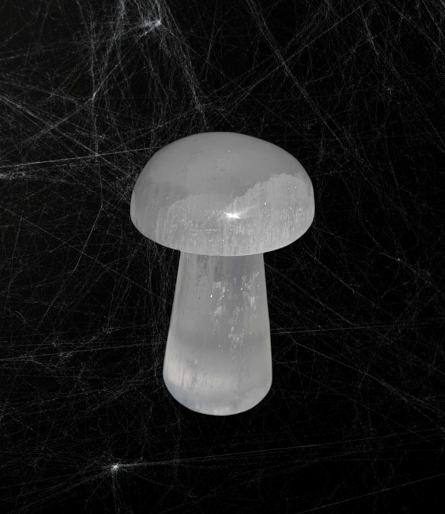 Champignion Sélénite