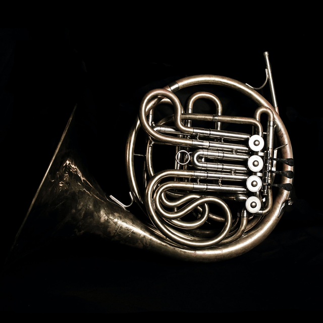 Waitlist - Private French Horn