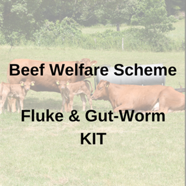 Beef Welfare Scheme (BWS) Fluke & Gut-Worm Test KIT