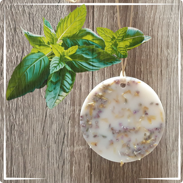Palet désodorisant Menthe Basilic