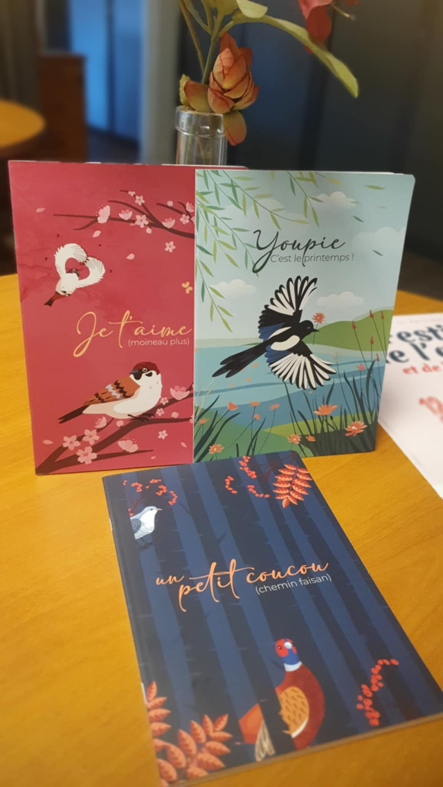 Ensemble de 3 carnets collector - Format A5