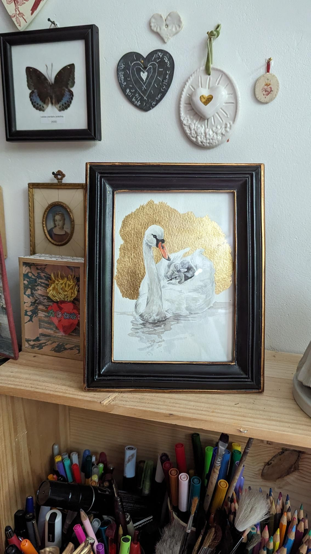 Maman cygne encadrée 