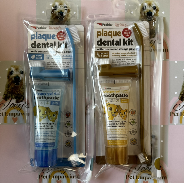 Plaque Dental Kit