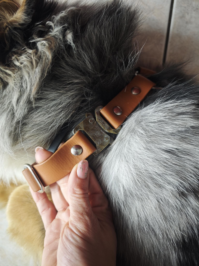 Harnais biothane, seconde main/vie !