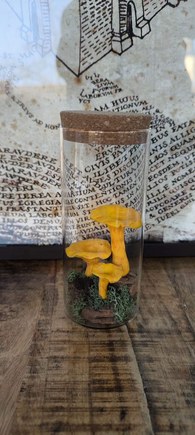 Champi&#039;Girolles