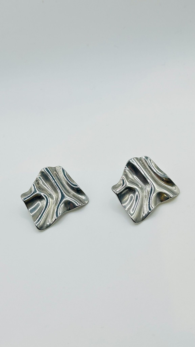 Stainless Steel Earrings (SSE84J)
