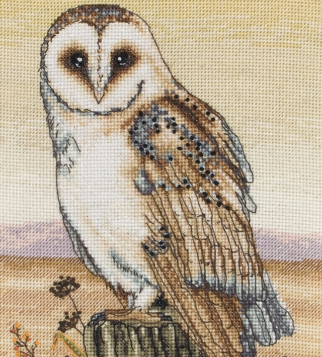 Owl Horizon Cross Stitch Kit by Anchor