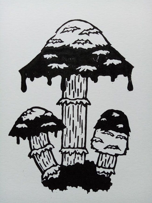 Ink Cap Mushroom