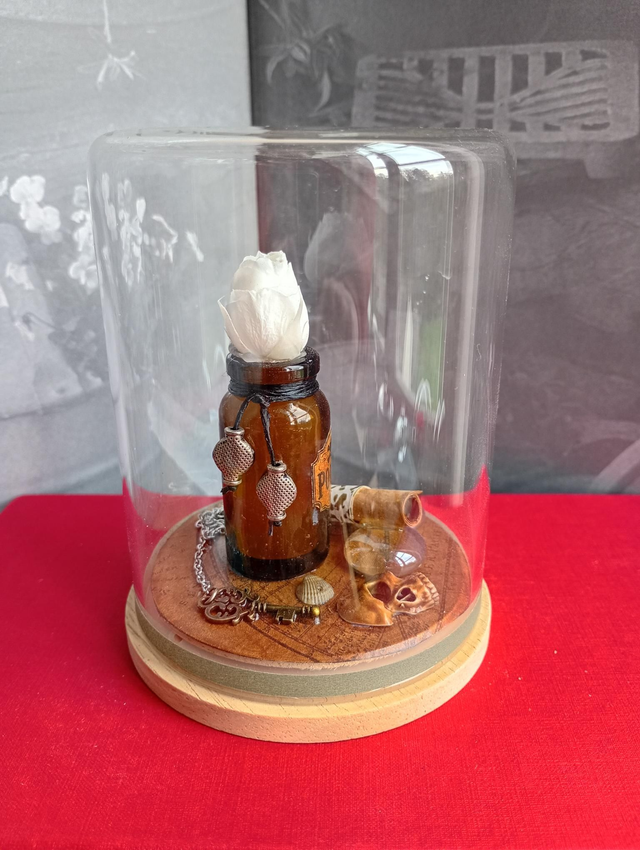 D25 Mini pirate blanc