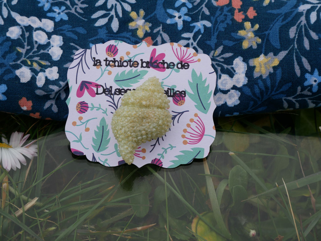 La tchiote broche coquillage