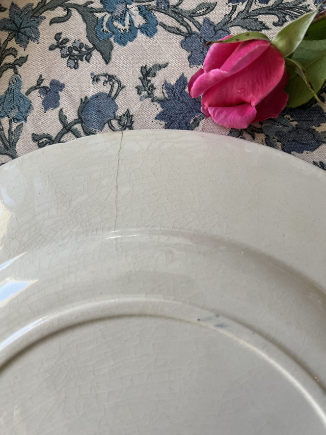 PLAT AUX OISEAUX 3 - Grand Plat Rond aux Oiseaux par la manufacture française de Gien - Terre de Fer