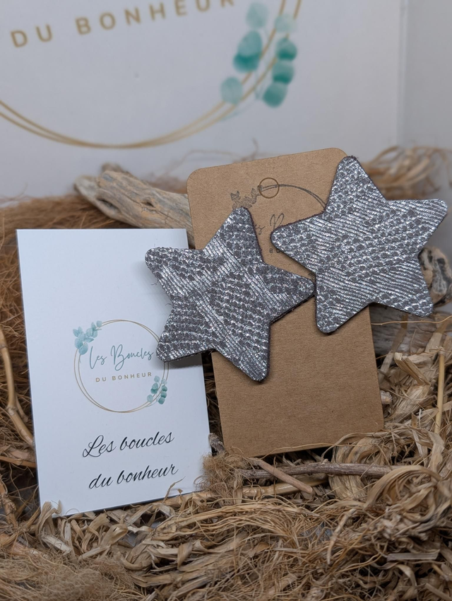 Boucles d'oreilles Étoile argenté st068