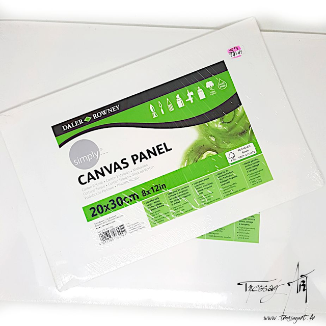 DALER ROWNEY - CARTON ENTOILE SIMPLY - CA124