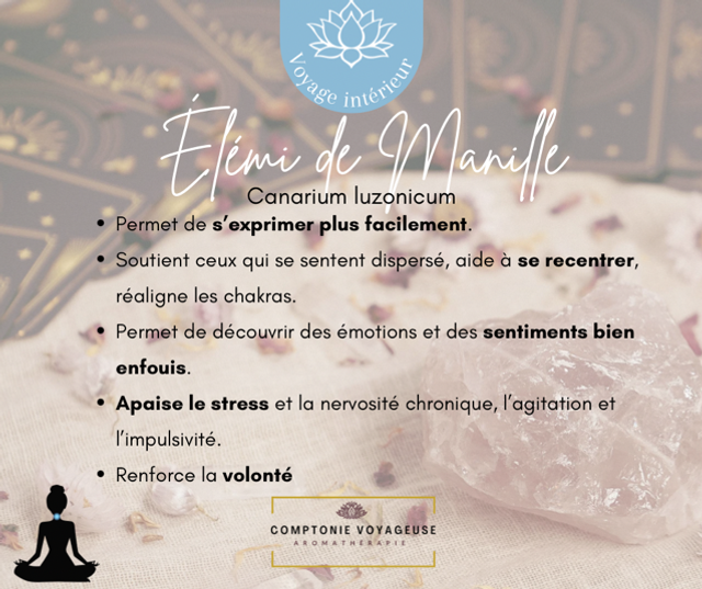 Voyage intérieur - Élémi