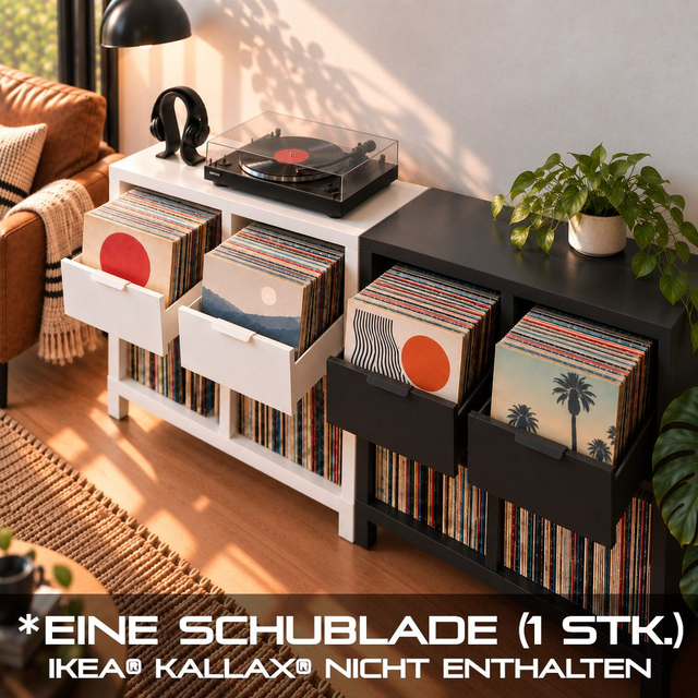 Vinyl Display Box