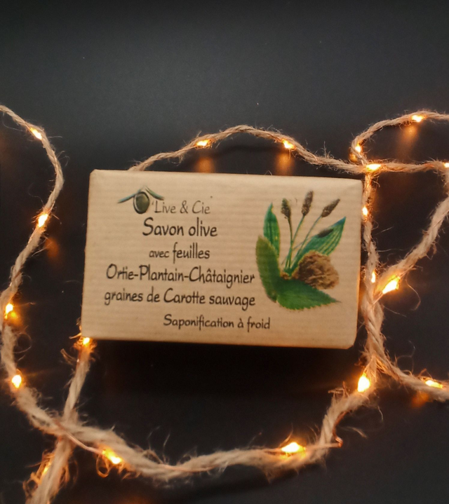 Savon shampooing aux Plantes, huile d'olive.