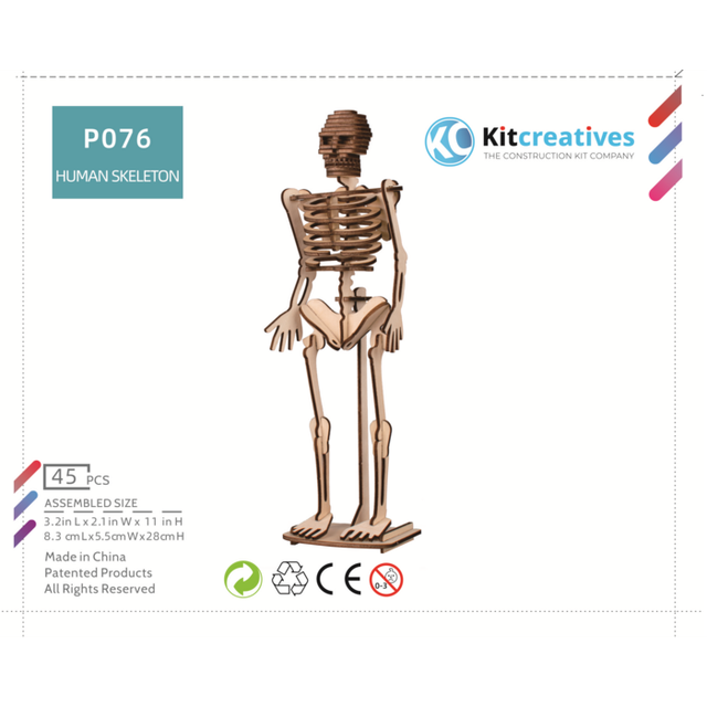 251053 bouwpakket skelet