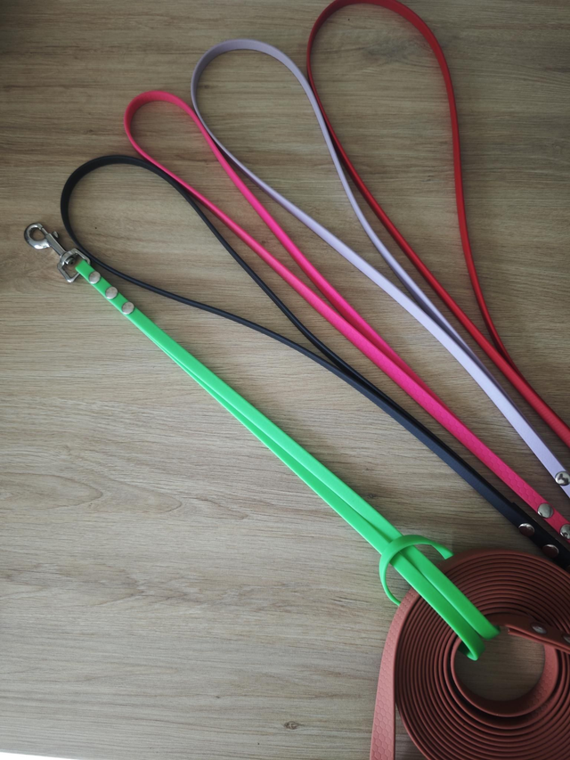 Range longes/laisses ou encore grand poignées ou mini laissesen sangle enduites (Biothane)