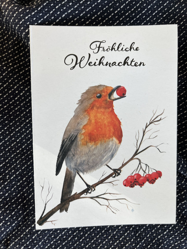 Weihnachtskarte Rotkehlchen Ast