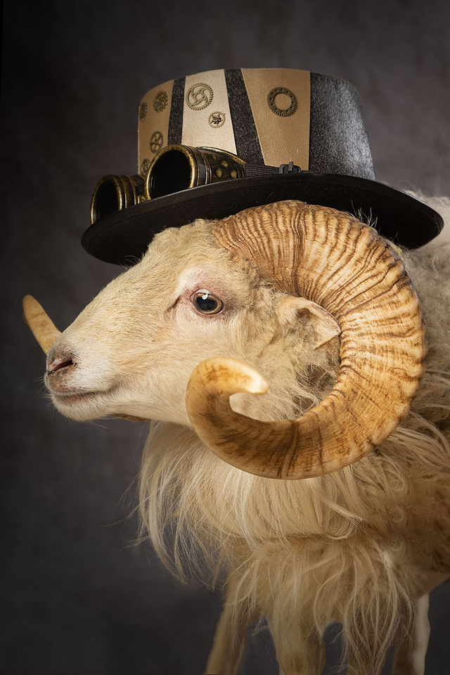 Donald 1 - Hochformat