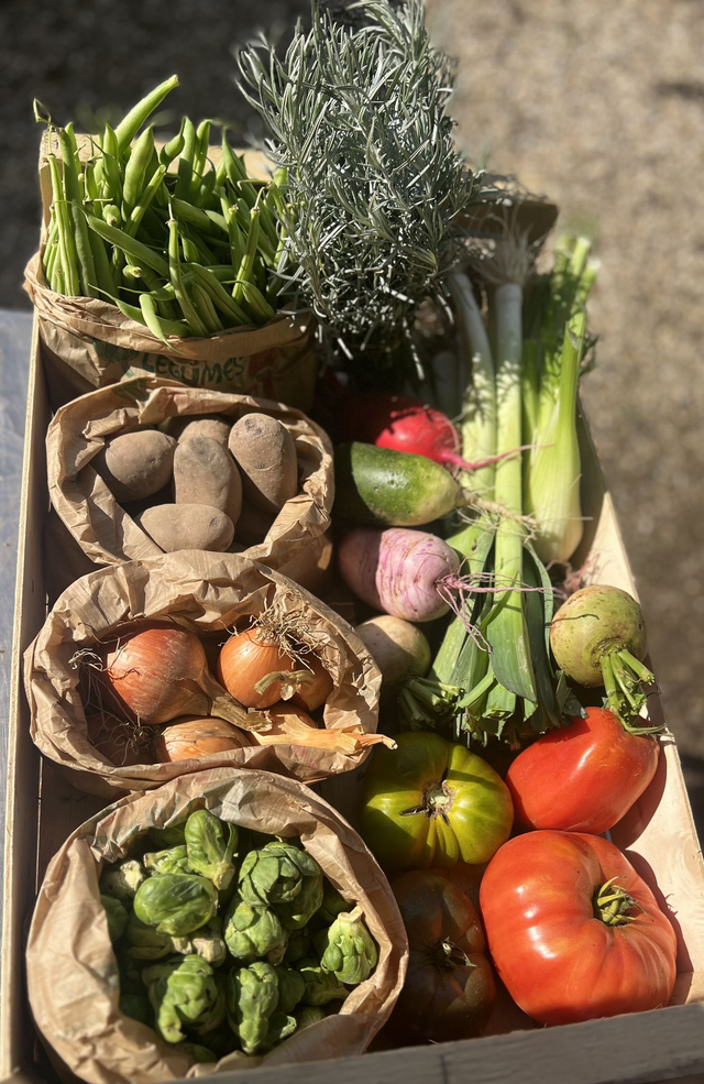 Cagette de légumes de saison:  à commander au plus tard le vendredi.