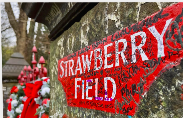 Strawberry Field at Christmas-luxury notecard