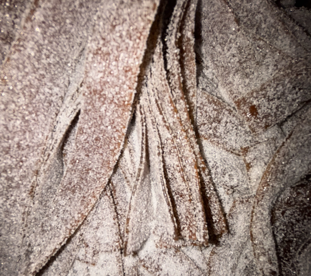 10 BANDEAUX COCA  PIK 