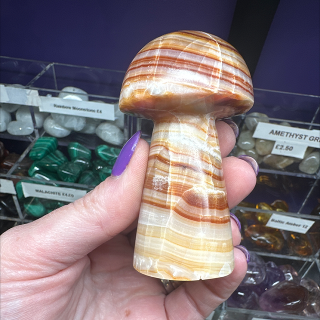 Brown Aragonite Toadstool 