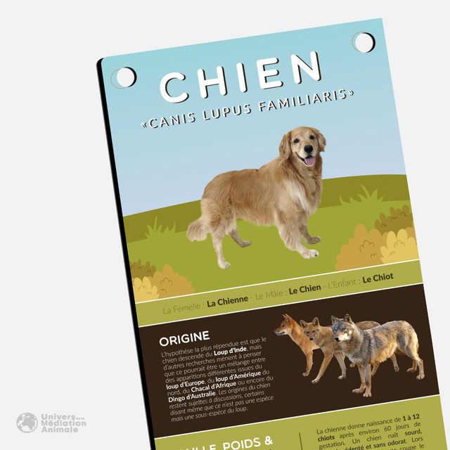 Panneau pédagogique - "Le Chien"