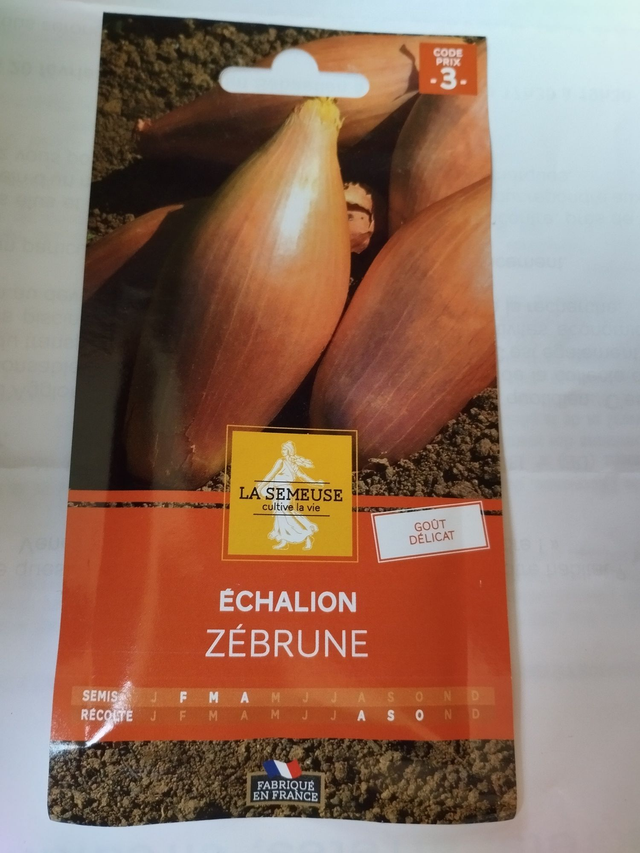 Echalion Zébrune