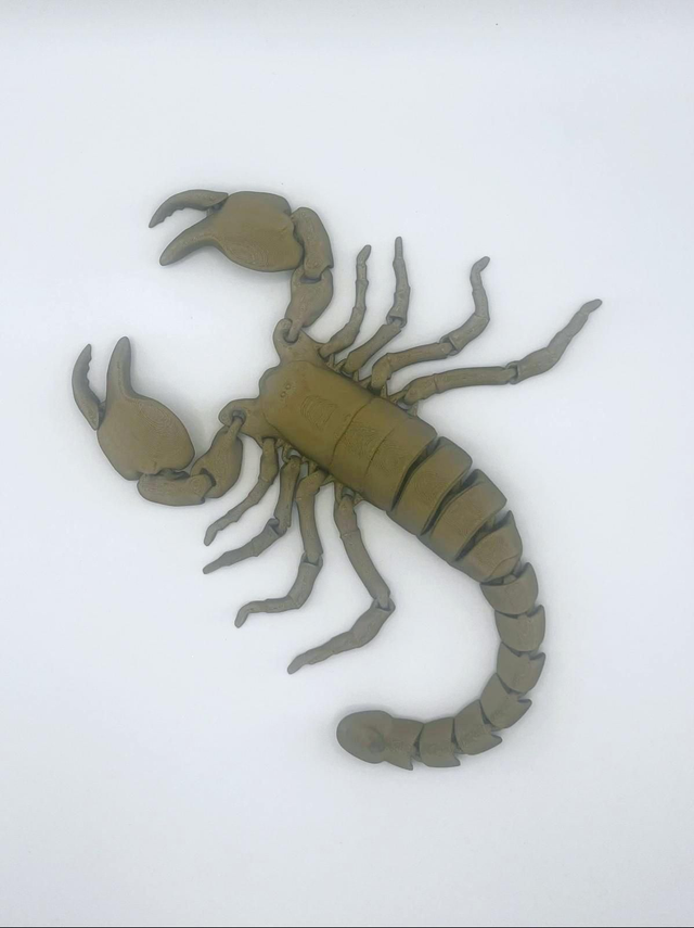 632. Scorpion 3D articulated print