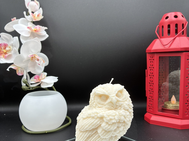 Bougie Chouette 🦉