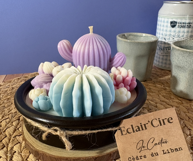 Cactus - cèdre du Liban 258gr